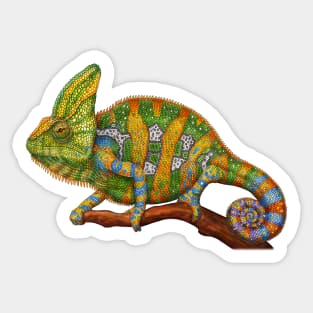 Veiled Chameleon Sticker